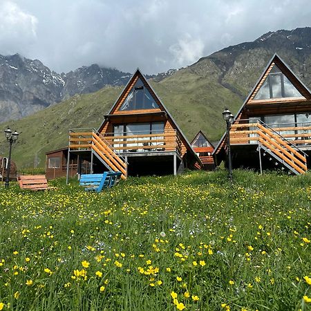 T&T Cottage Stepancminda Zewnętrze zdjęcie